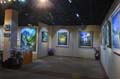 solo show ggg47